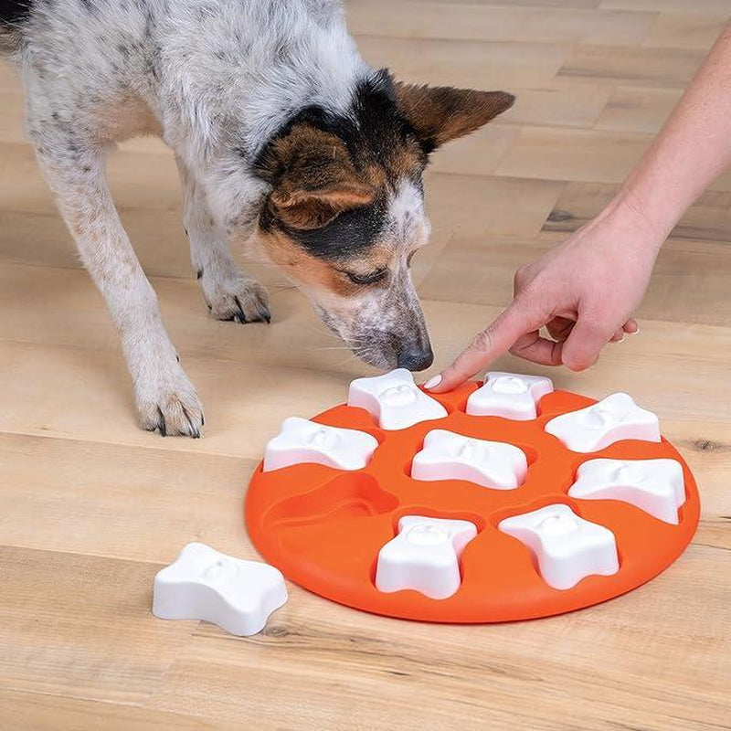 Nina Ottosson Dog Smart Orange Interactive Treat Puzzle Dog Toy